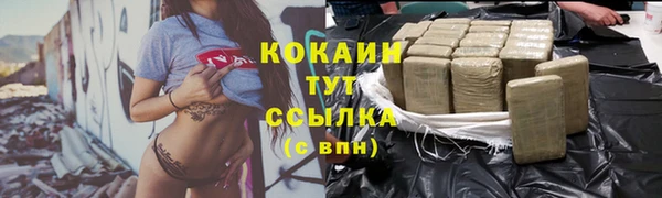 молекула духа Белоозёрский